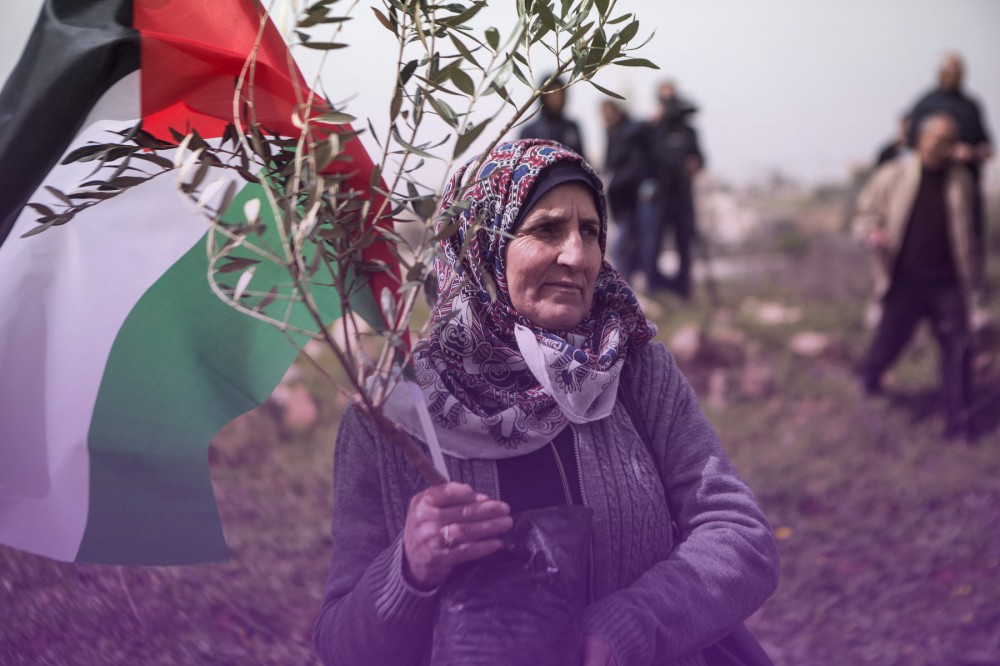 صورة أرشيفية 