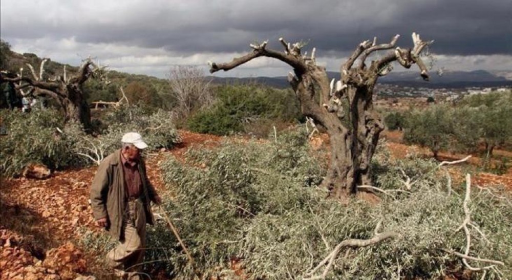 الاحتلال يواصل قمع الفلسطينيين والتضيق عليهم بالضفة الغربية