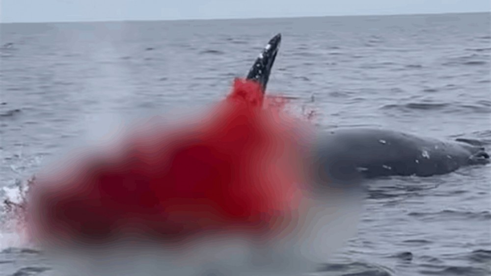 Doc-P-723988-638308199536271069