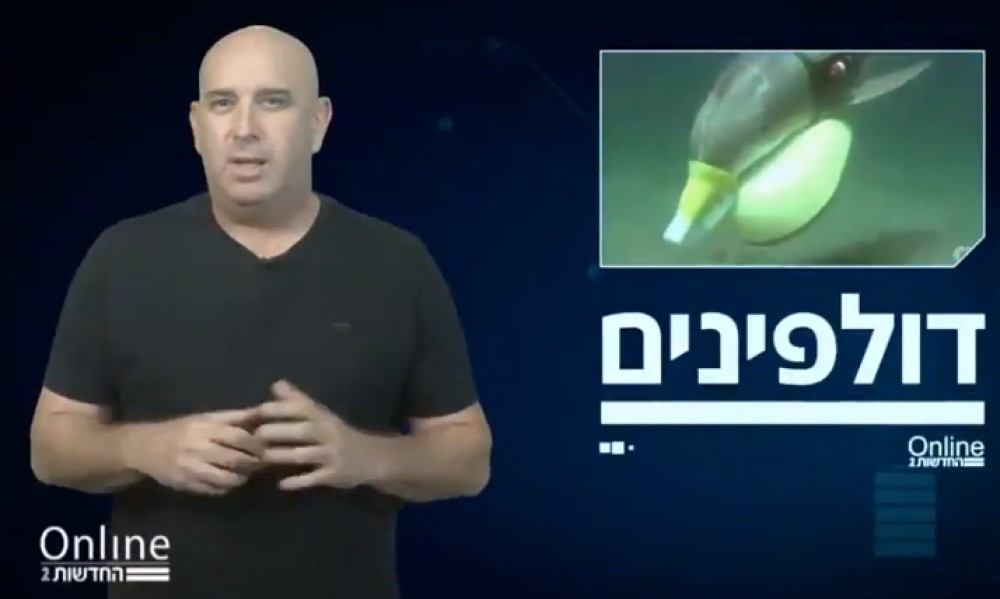 بسيبسي