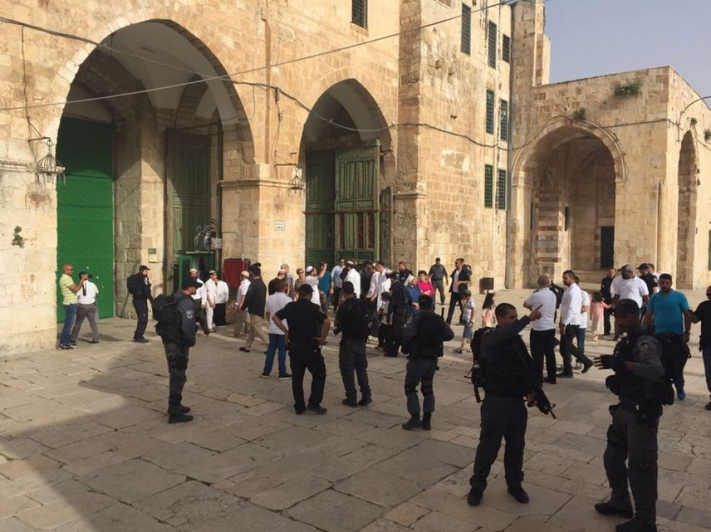 جانب من اقتحام المستوطنين لباحات الأقصى صباح اليوم 