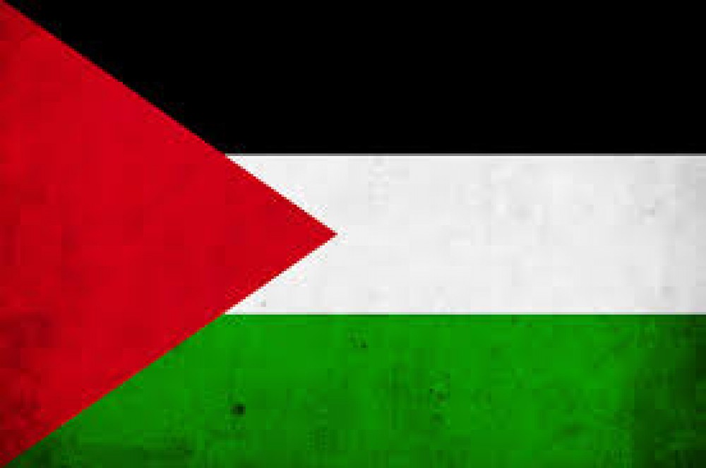 صورة أرشيفية لعلم فلسطين