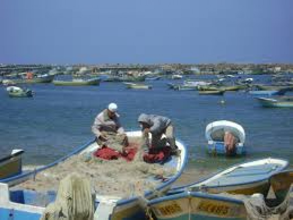 صورة توضيحية