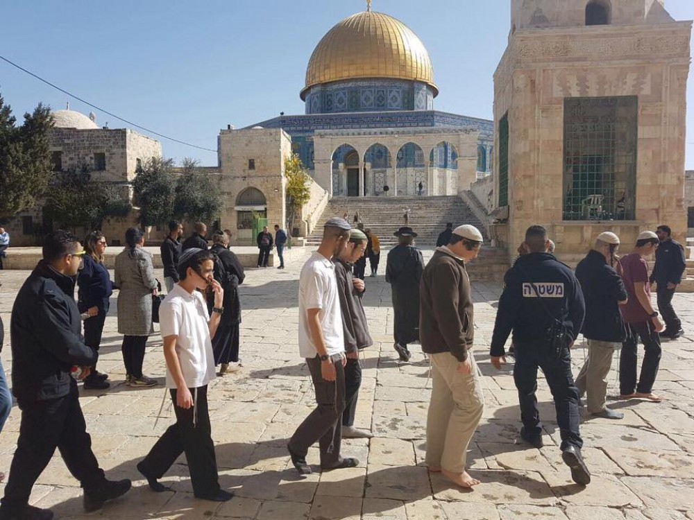 جانب من اقتحام المستوطنين لباحات الأقصى صباح اليوم 