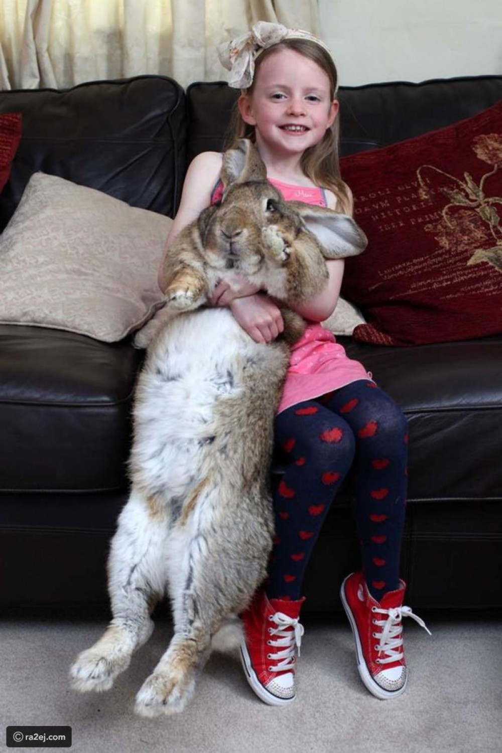 2cd771f67c62444cc76317e79b5f34e0ff67686f-030920092451