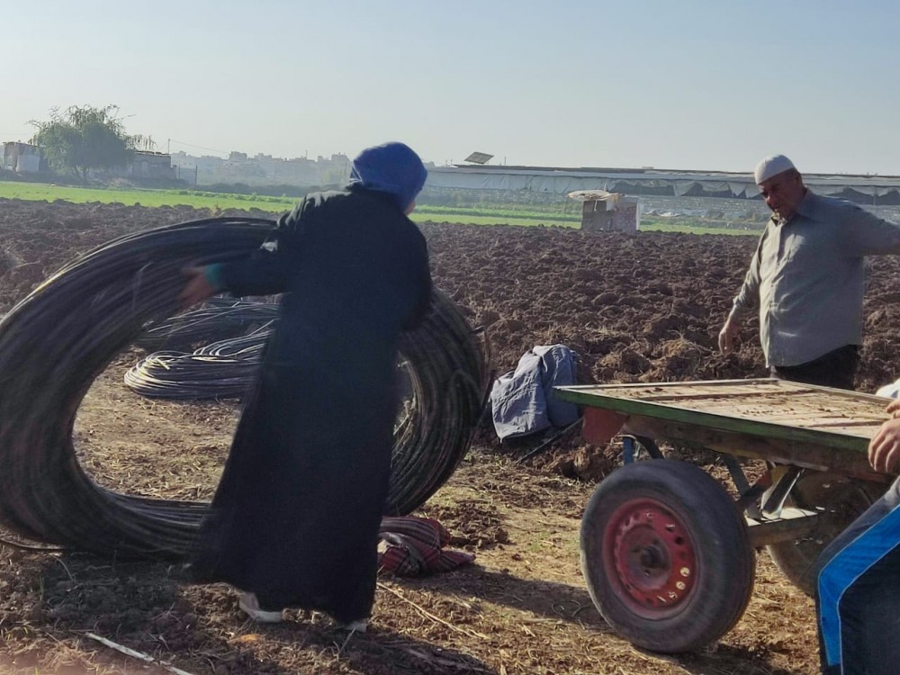 الزراعة تتفقد مزارع الخضار وتقدم إرشادات للمُزارِعات بمحافظة غزة