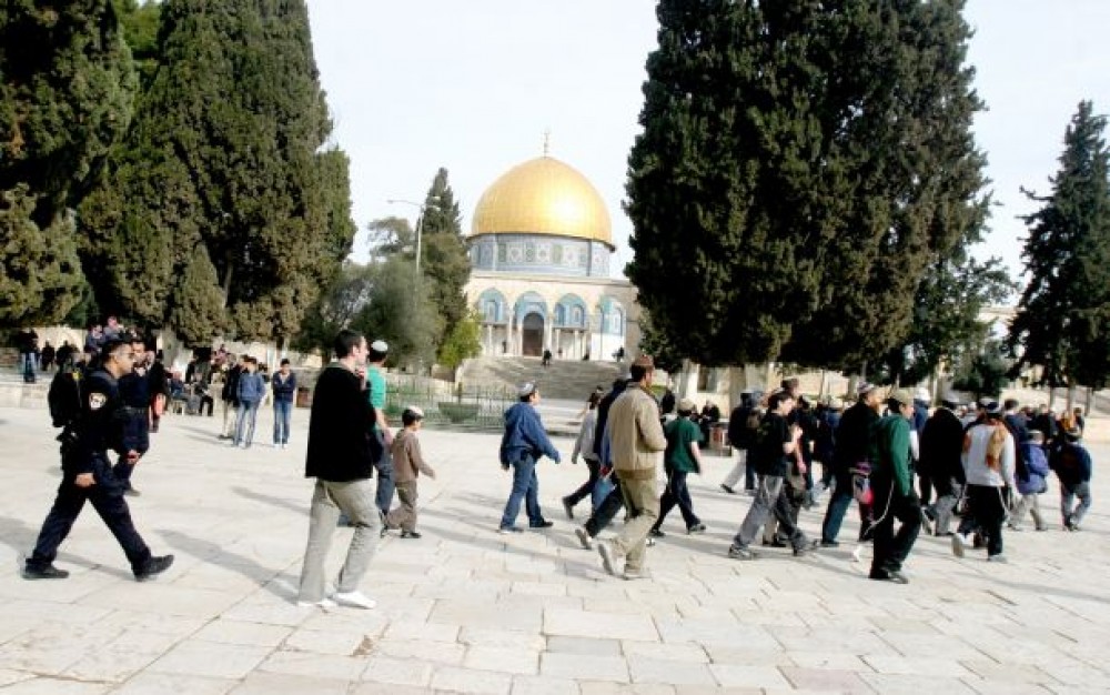 صورة أرشيفية 