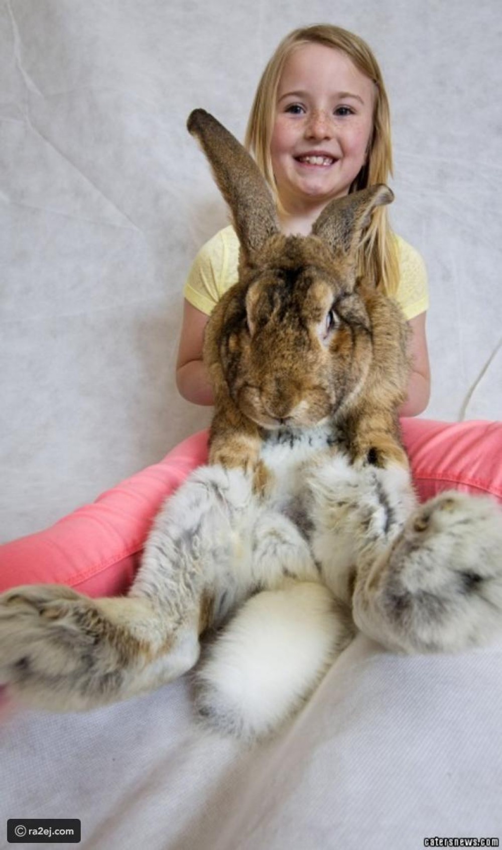 bb23262bf41b51906249851181a7d7e7e288c288-030920092451