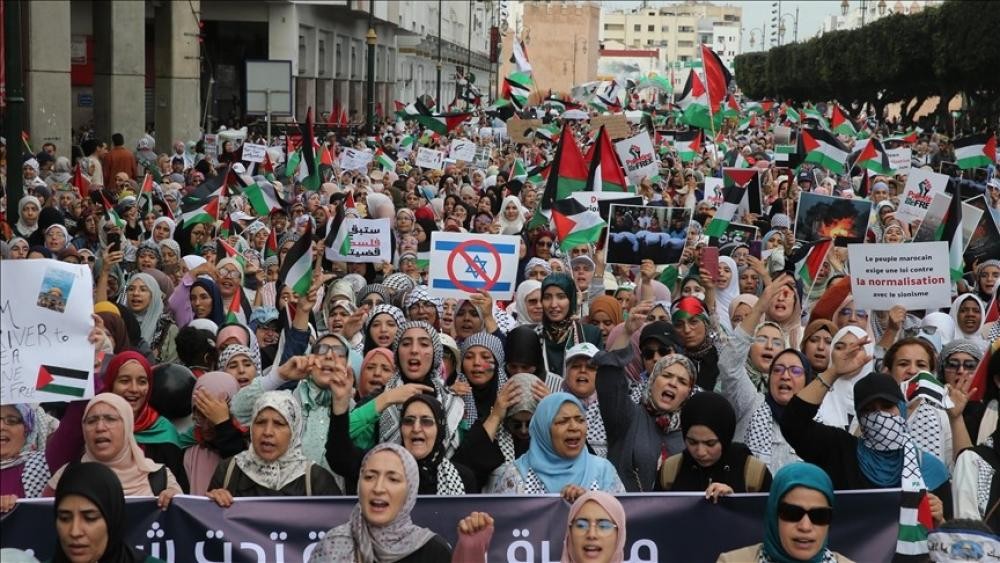 19 مدينة حول العالم تتحرك للمطالبة بإدخال المساعدات إلى غزة