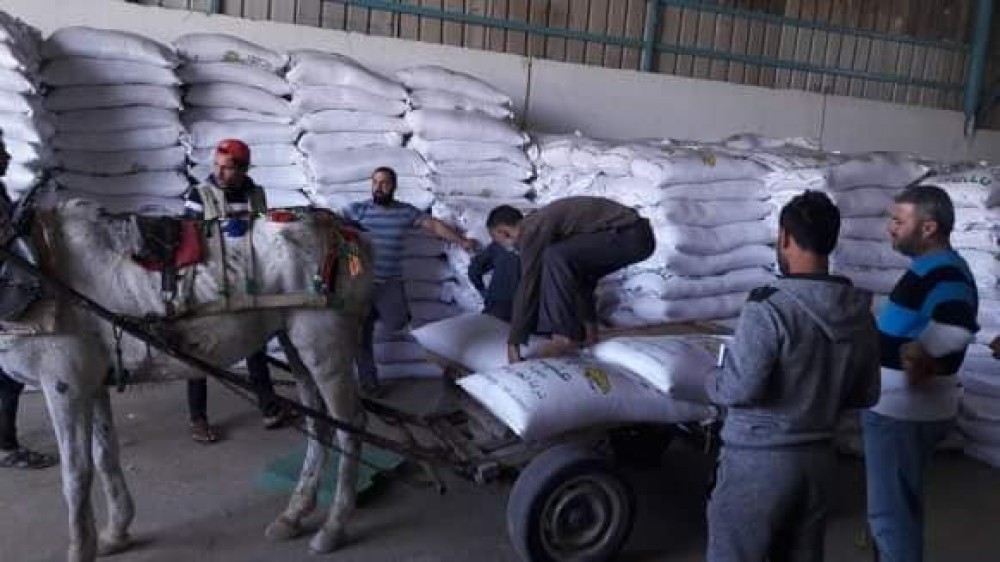 95884244_2945157688896965_5888973132928122880_n