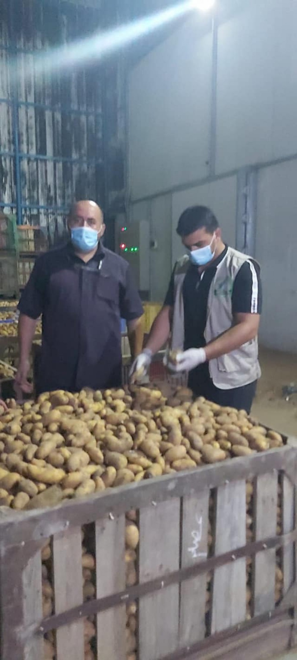  طوارئ زراعة الشمال تحذر أصحاب ثلاجات البطاطس من الاحتكار