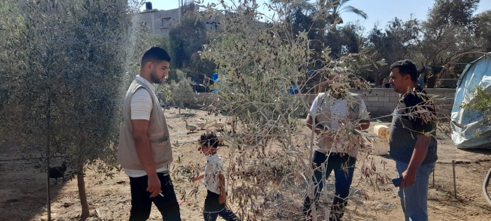 294856278_5546523028713901_4268694932305638154_n