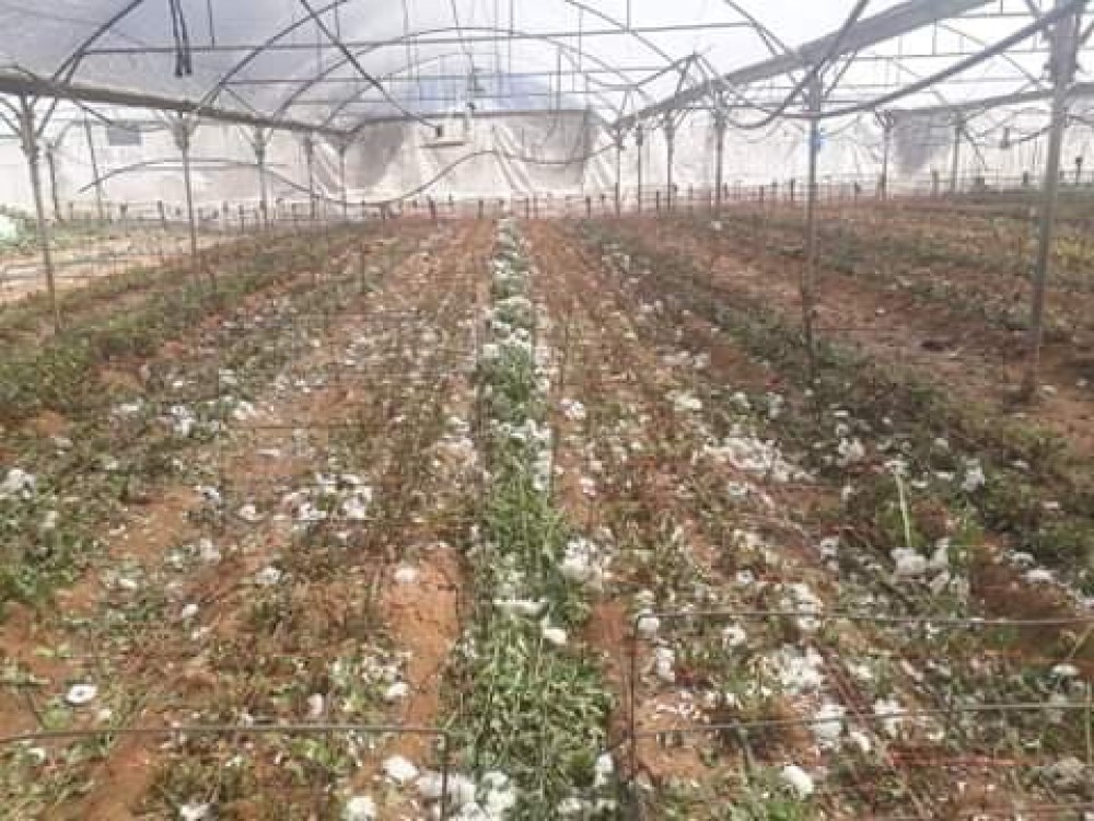 95373203_2942401045839296_8019228477397925888_n