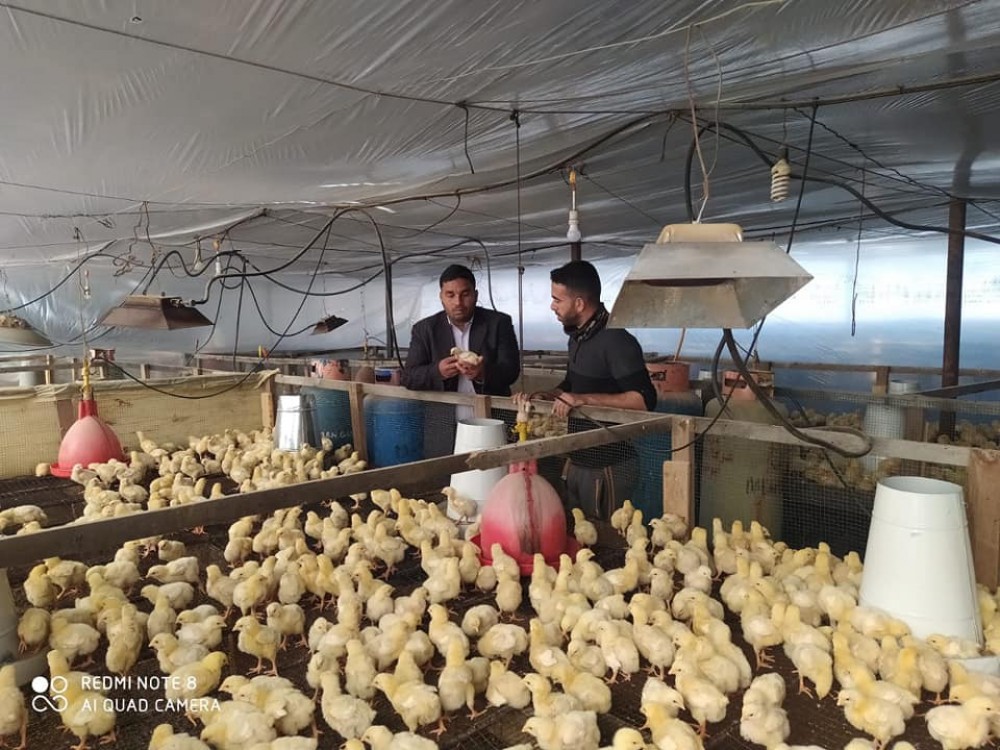 الزراعة تفتتح دورة ‏متخصصة في مجال الإنتاج الحيواني ‏