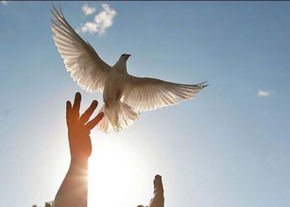 صورة رمزية