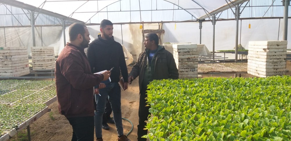  زراعة الوسطى تتابع سير العمل في مشاتل الخضار 