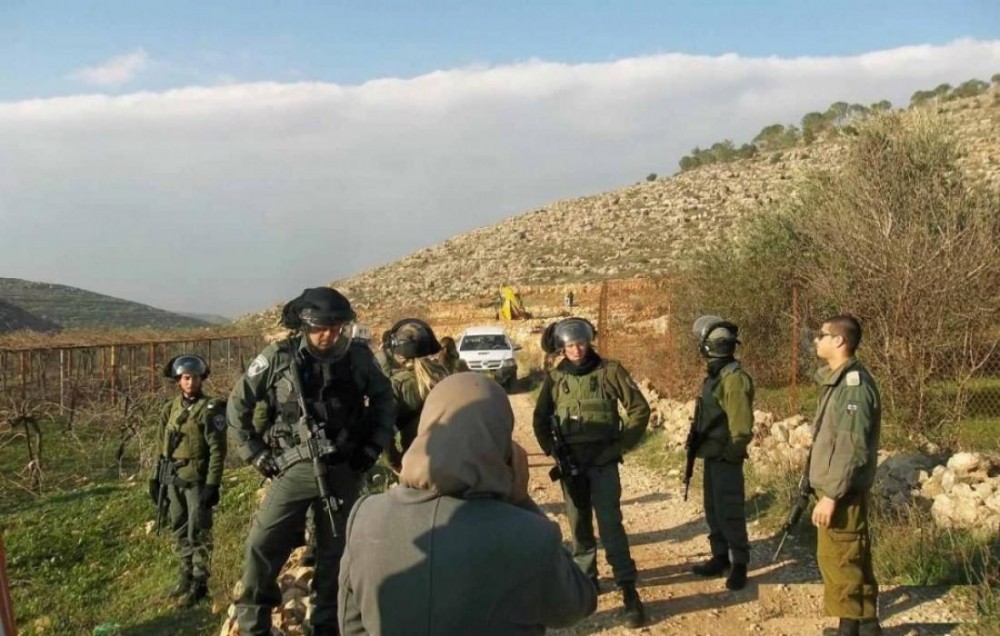 صورة أرشيفية 
