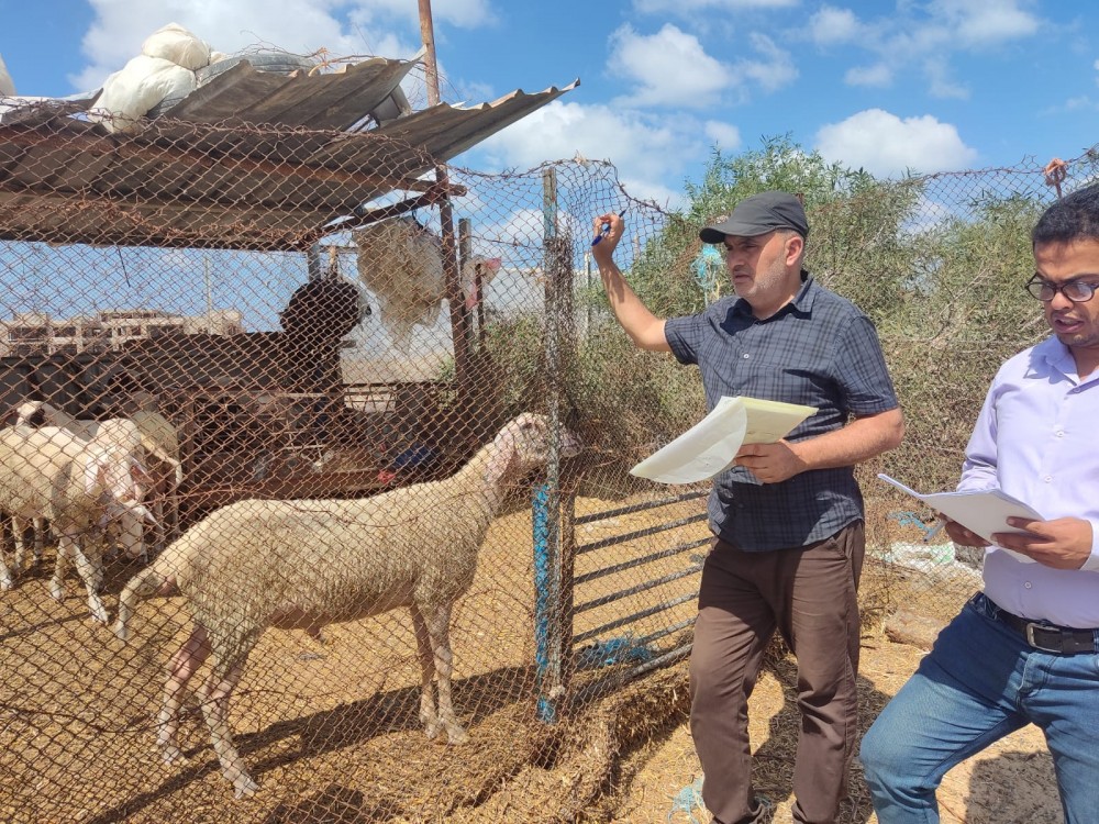 383007727_3147092568767939_6618190302405568880_n