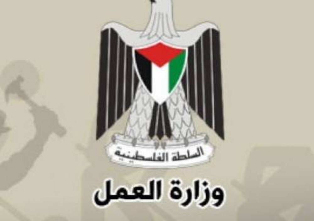 وزارة العمل تعقد ورشة عمل الكترونية عبر برنامج الزوم