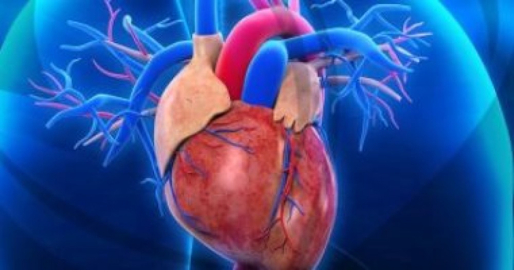 5 طرق لحماية مرضى القلب من عدوى كورونا.. تعرف عليها