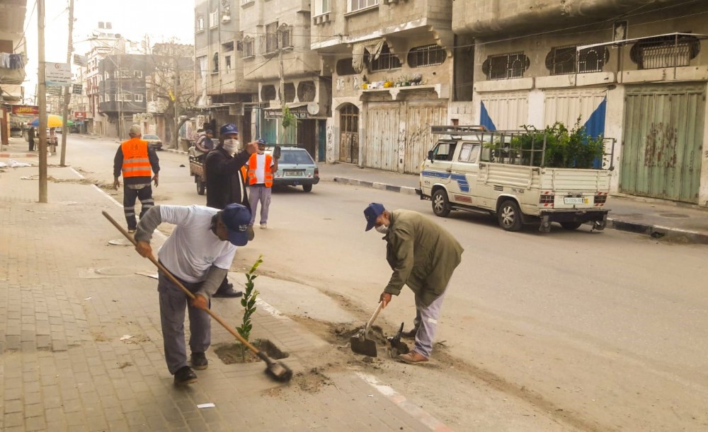 بلدية خان يونس تنفذ حملة تشجير  لشوارع حي الأمل  وتعقيم المرافق الخدماتية