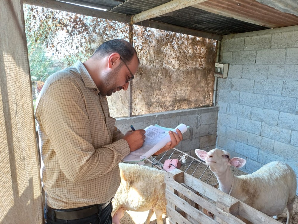 وزارة العمل تواصل جولات التفتيش على المسجلين بالمشاريع الصغيرة