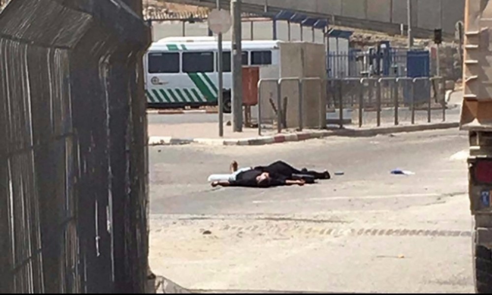 صورة للشقيقين مرام وإبراهيم بعد استشهادهم