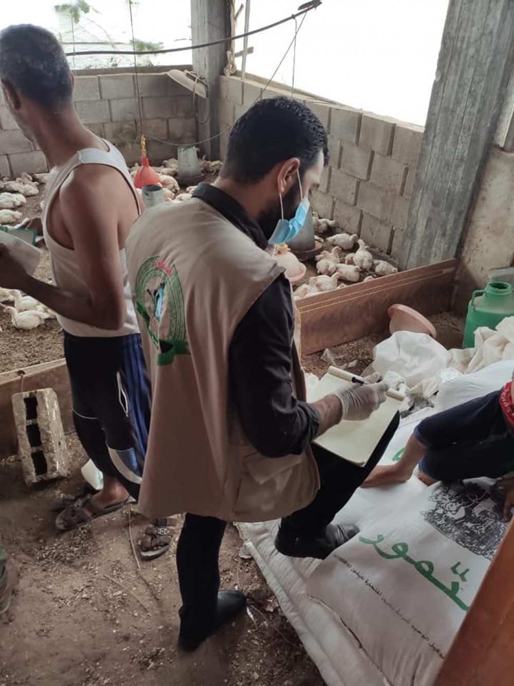 زراعة شمال غزة تتفقد مزارع الدواجن بعد موجة الحر الأخيرة