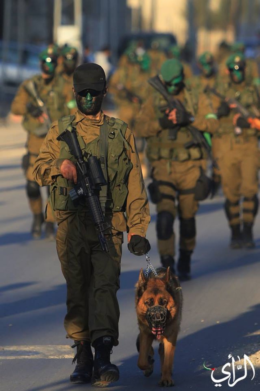 15978007_10209283894309206_4242473642101838709_n