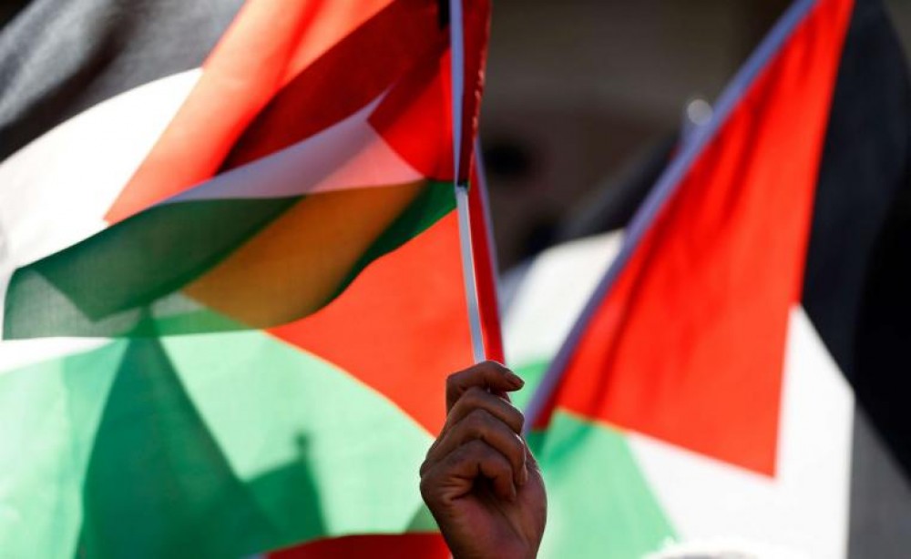 palestine_flags