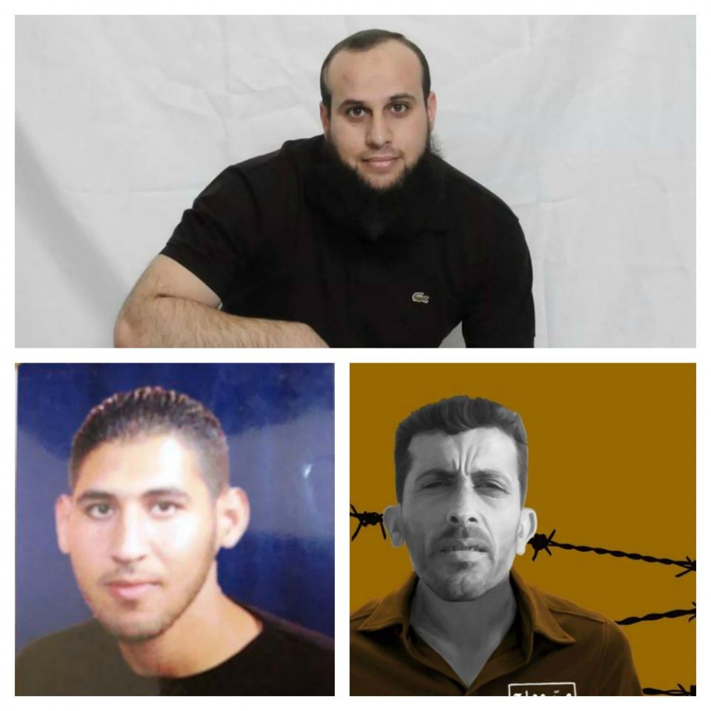 الأسرى الثلاثة 