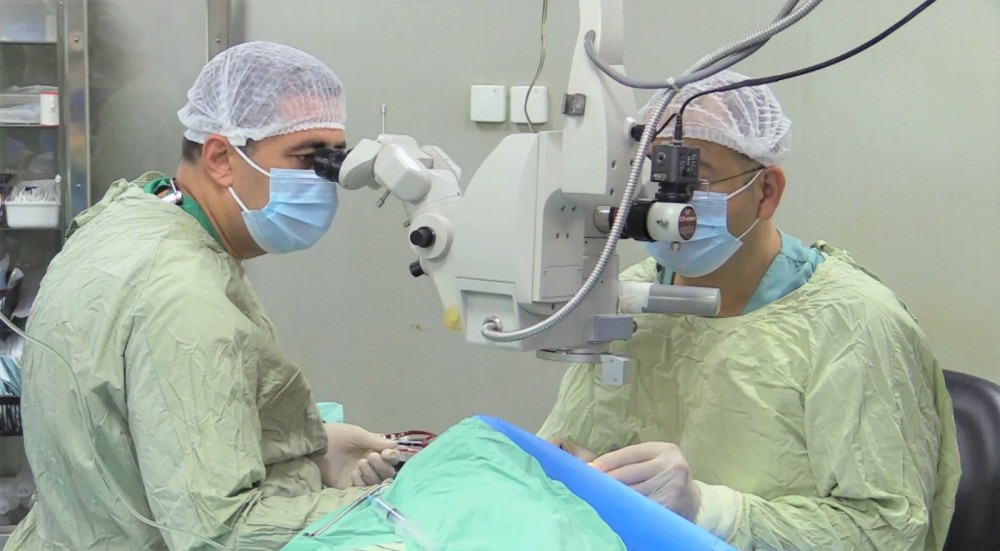 379665809_6607300019398609_1918844118262505801_n