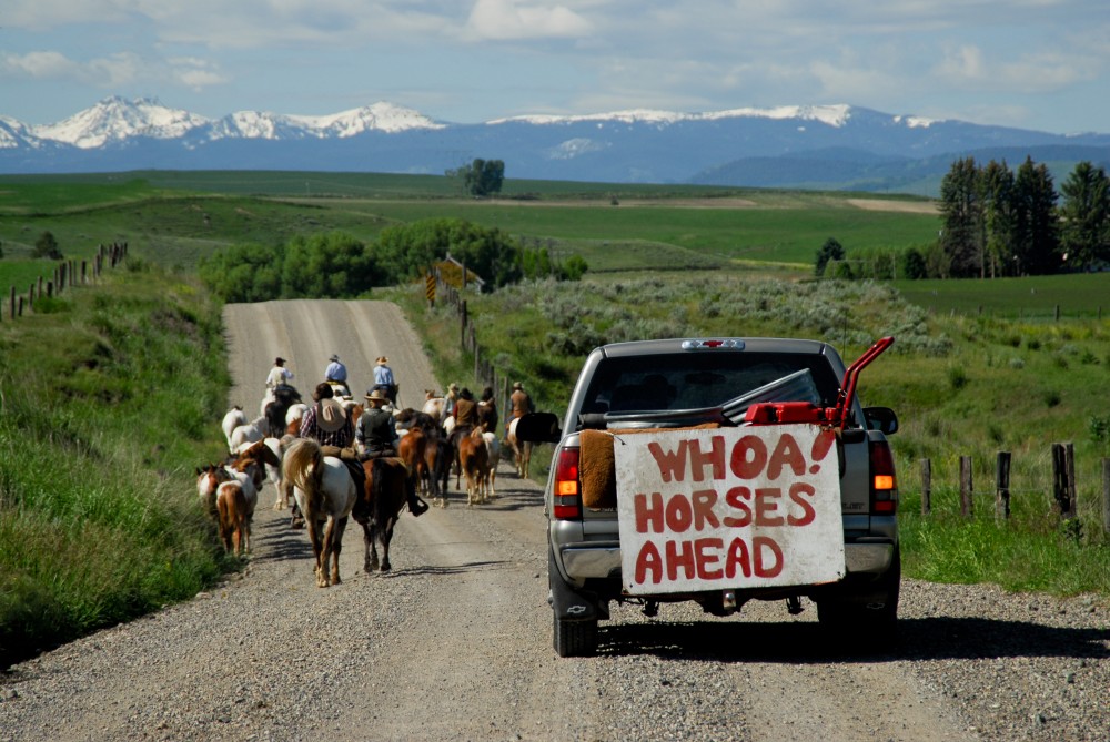 ولاية مونتانا