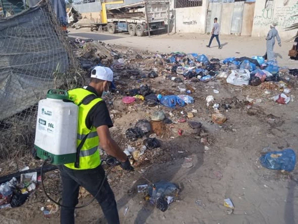 بلدية الزوايدة تواصل حملة مكافحة البعوض والقوارض بالتعاون مع (UNDP)