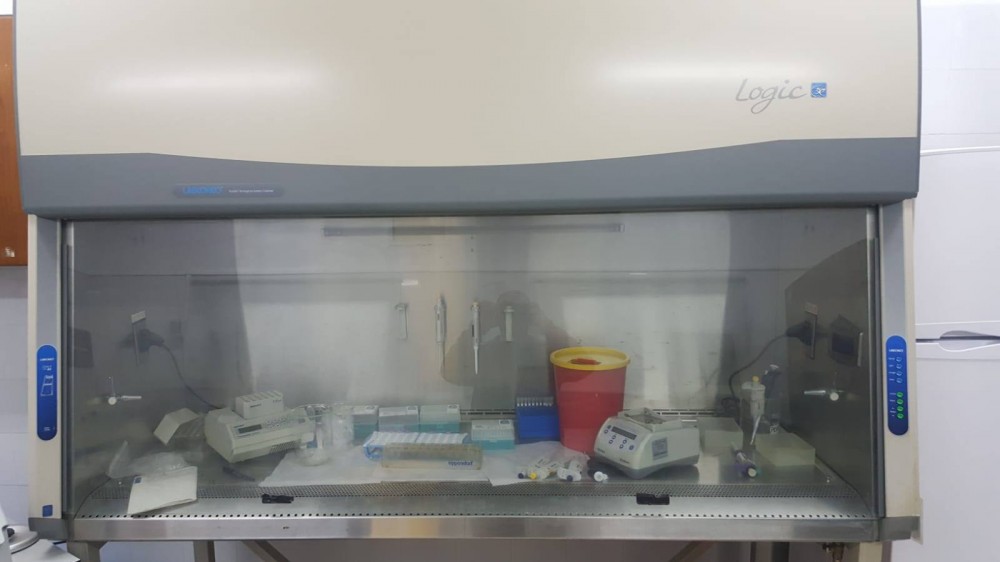 91544529_873678939722531_490421751226826752_n