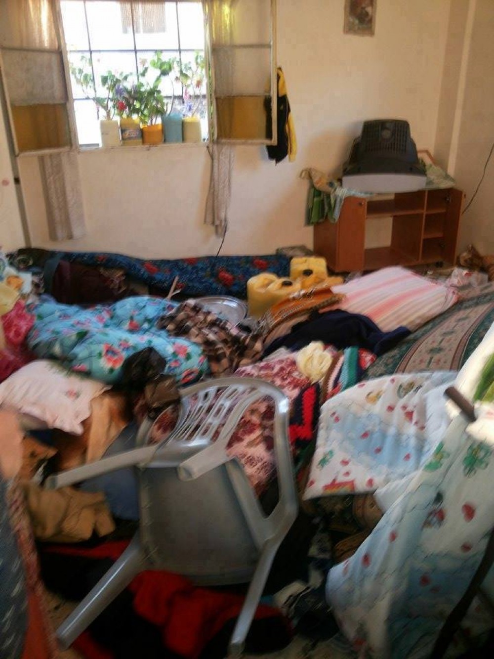 13344718_1411932272182522_728369214226968266_n