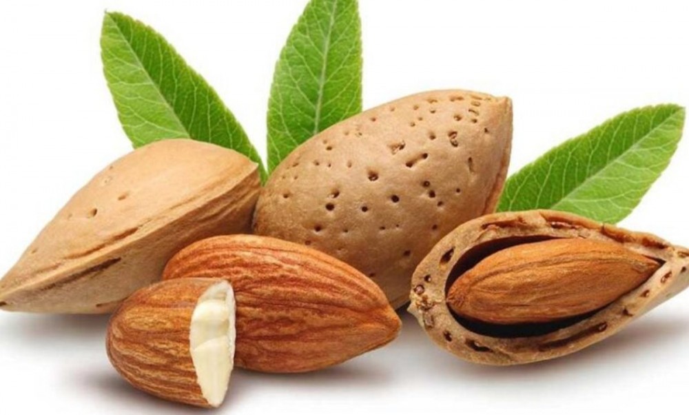 أطعمة مليئة بالكالسيوم تغنيك عن الحليب أبرزها اللوز