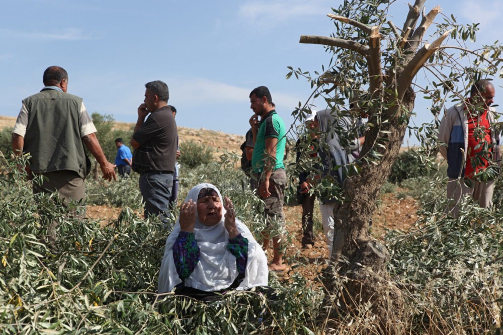 صورة أرشيفية 
