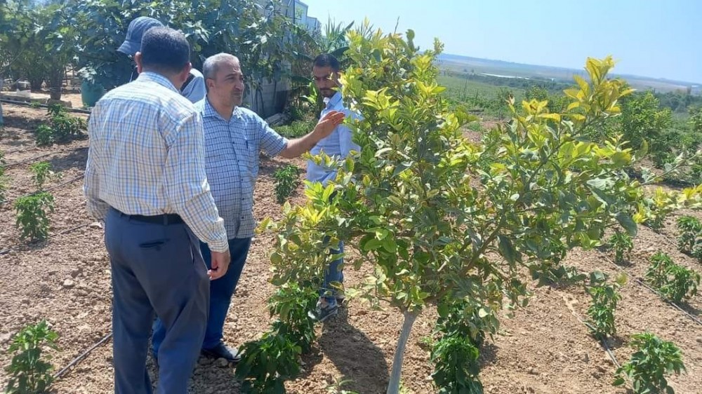 جولات إرشادية على عدد من مزارعي البستنة الشجرية