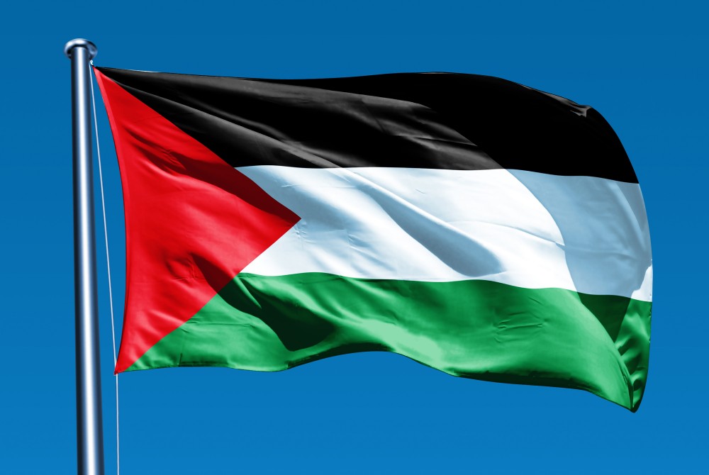 علم فلطسين
