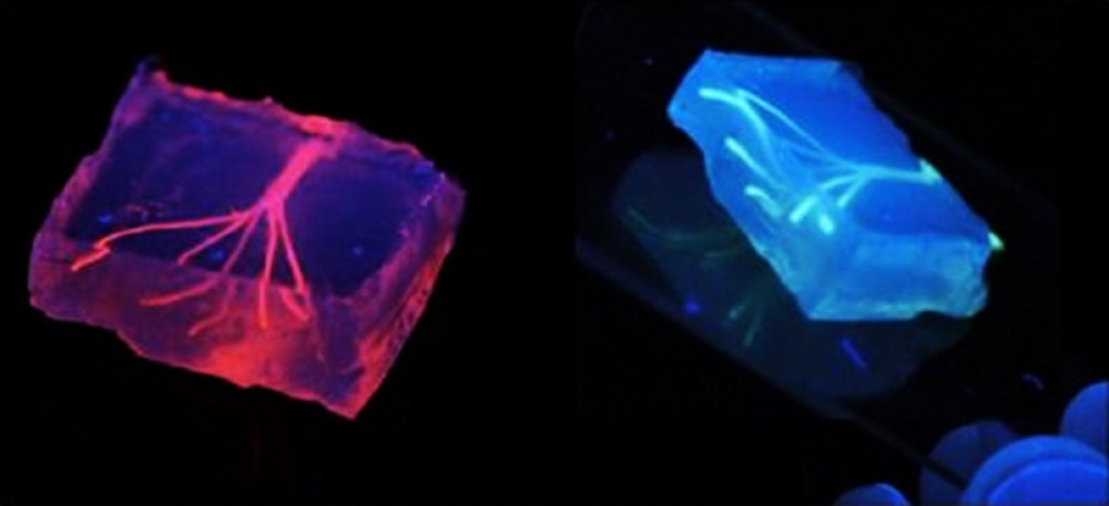 3d-printed-blood-vessels