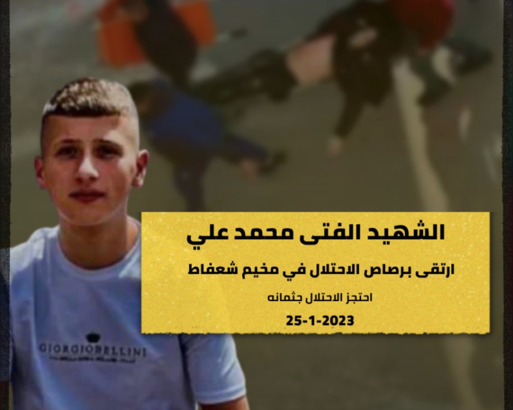 الشهيد محمد علي