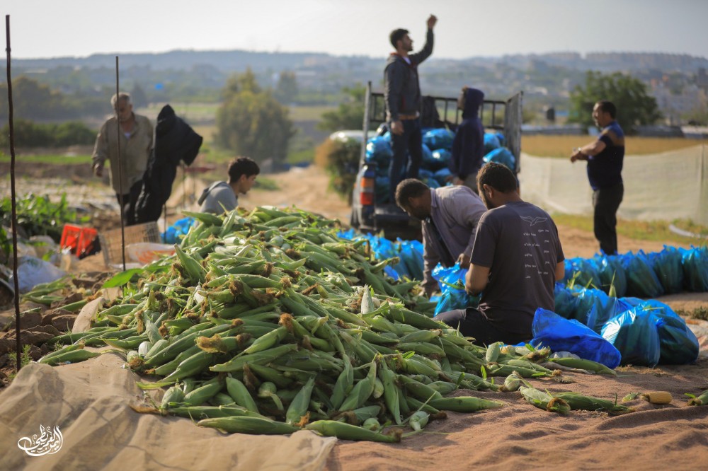 photo_٢٠٢٣-٠٥-١٤_٠٩-٥٥-٤٠ (2)