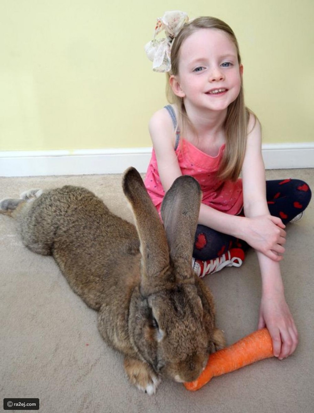 acae0b2be0e51bfb1cfccff62a6ece088f8296ff-030920092451