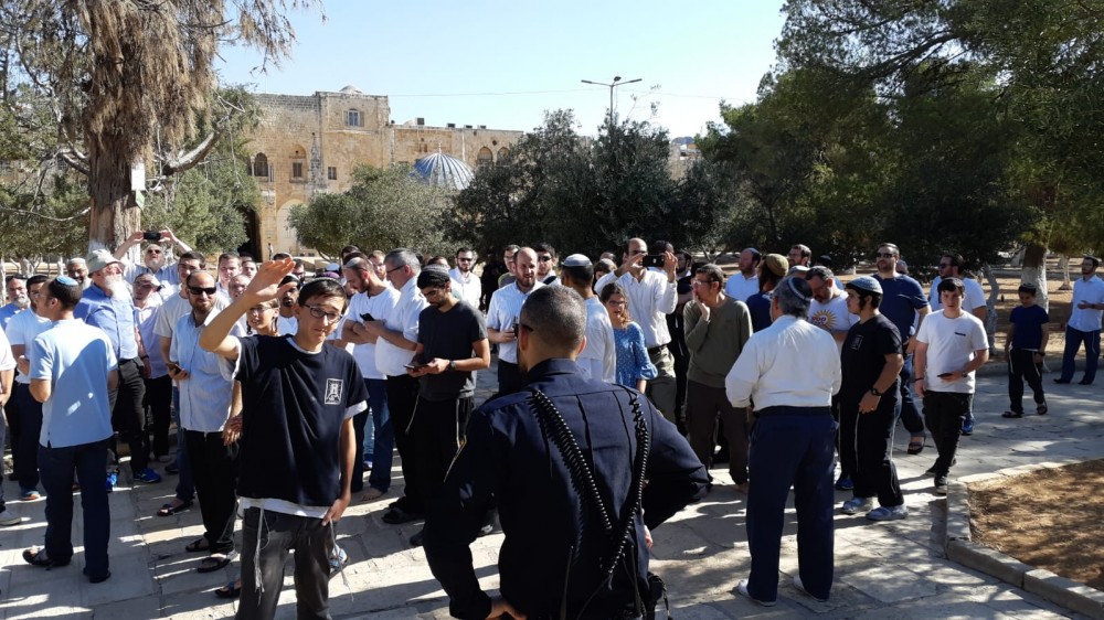 جانب من اقتحام المستوطنين لباحات الأقصى صباح اليوم