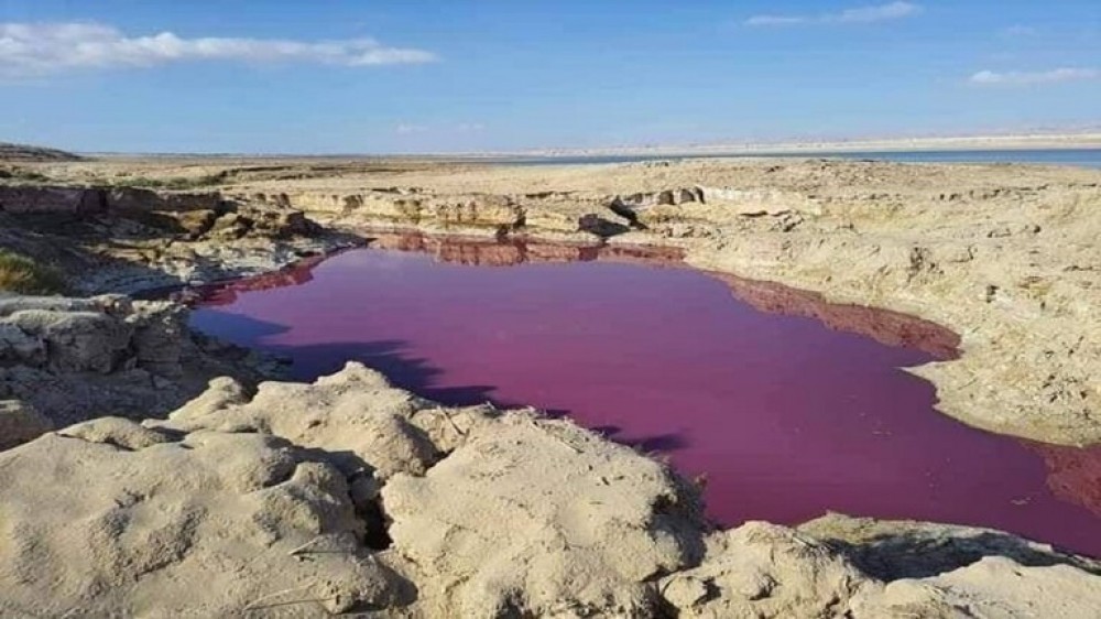 خبير أردني يفسر ظاهرة المياه الحمراء في منطقة البحر الميت