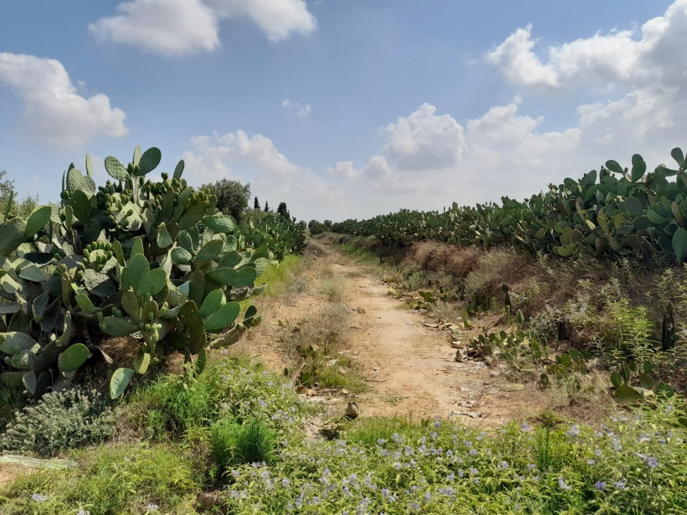 348291631_6426434747435891_9106185869103751213_n