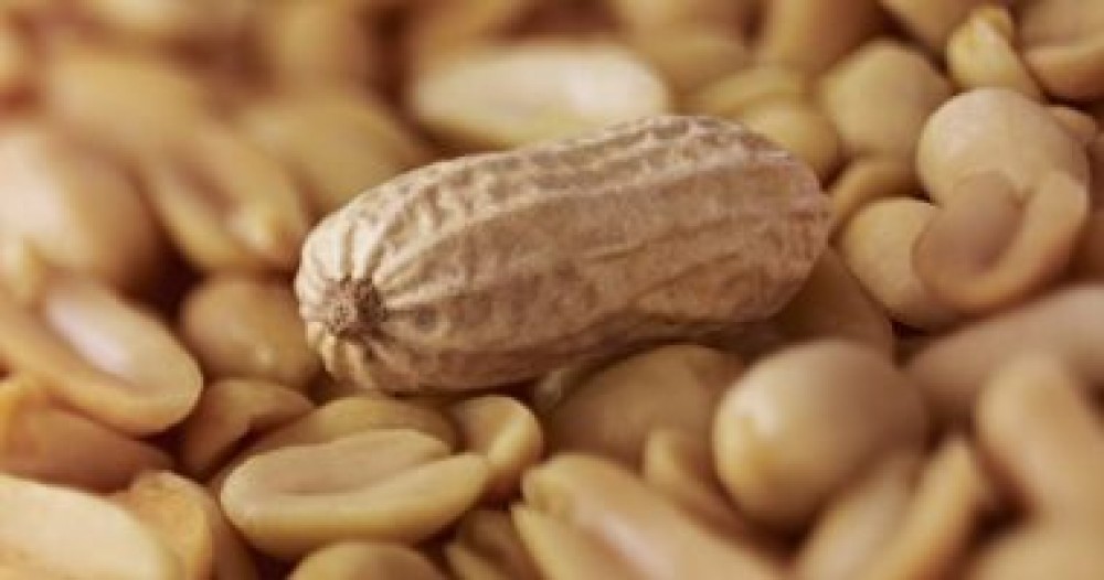 ما هى حساسية الفول السودانى والمكسرات؟