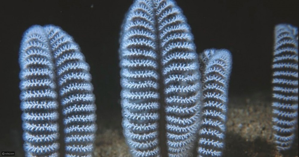 324f06f5f32da44b61751d5f62c864e237808d67-070422114639