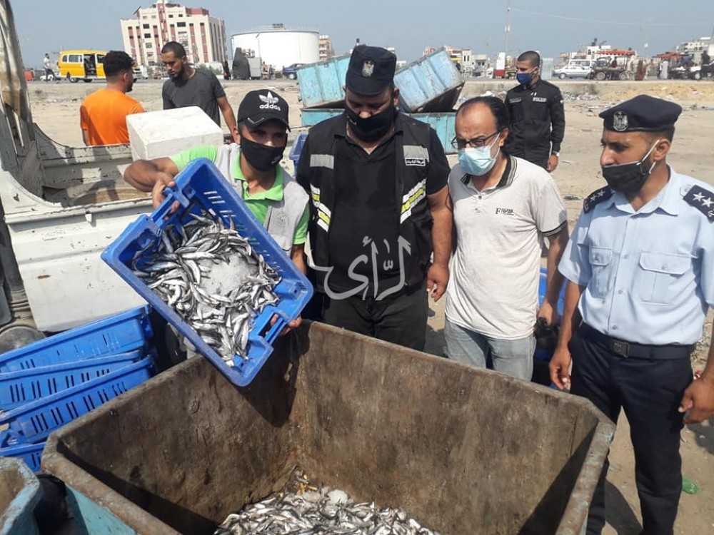 220كيلو جرام من الأسماك غير صالحة للاستهلاك 